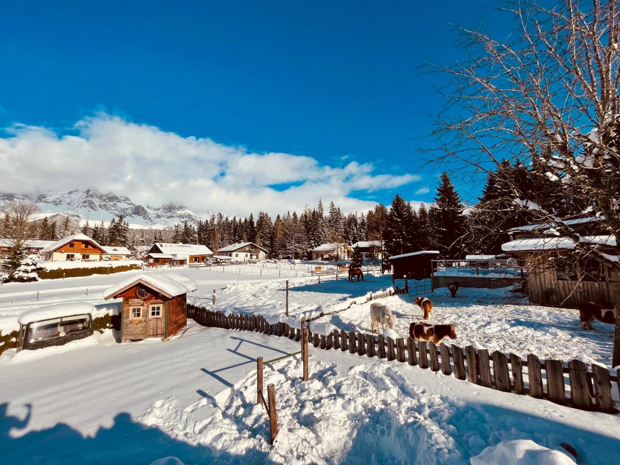 Pension Vorberghof- Bauernhofurlaub Рамзау-ам-Дахштайн Екстер'єр фото
